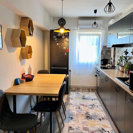 Comfortable Baia Mare Apartment 외부 사진