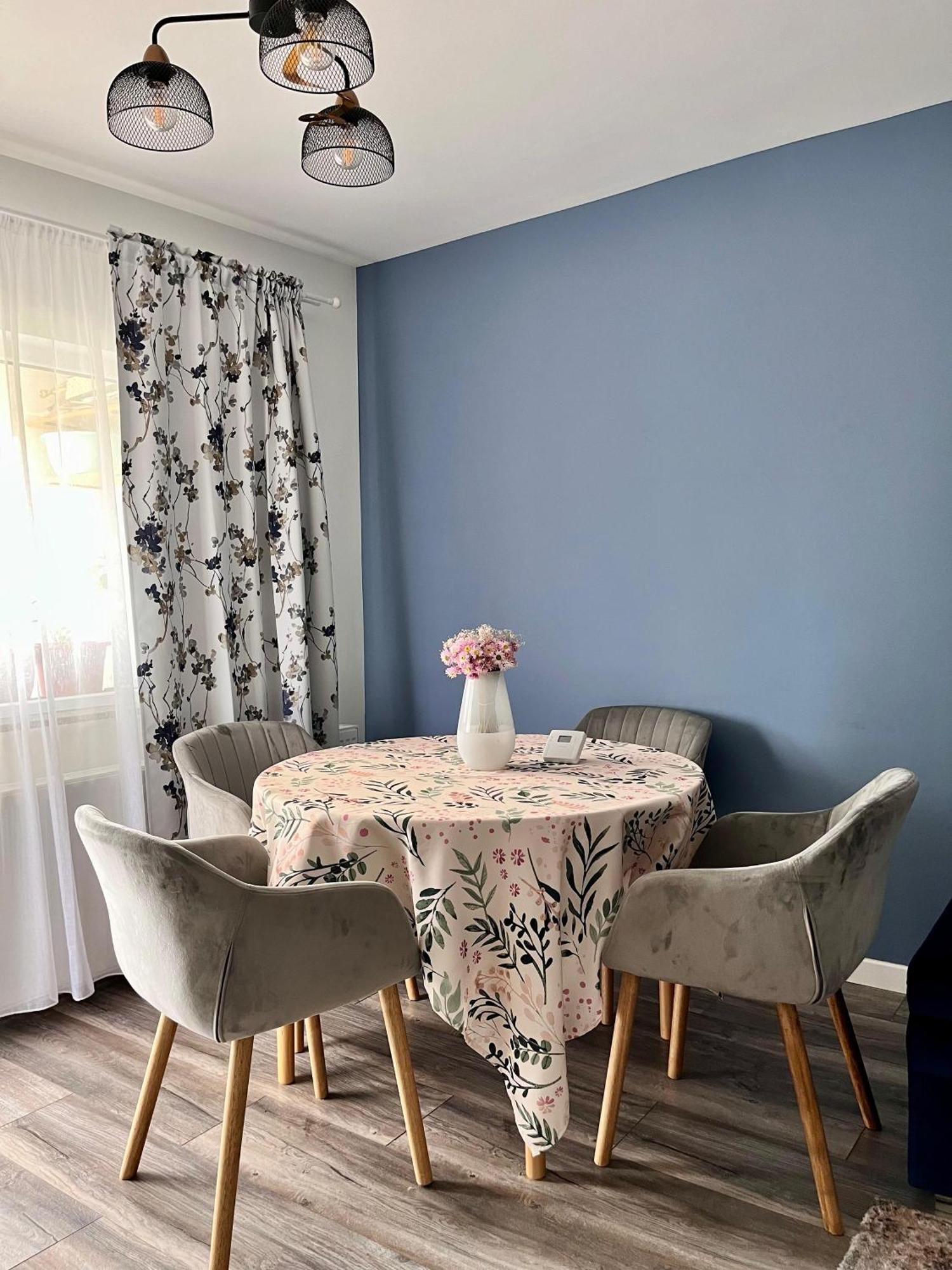 Comfortable Baia Mare Apartment 외부 사진